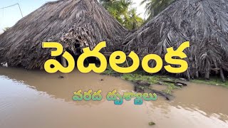 ll Pedalanka flood scenarios ll konaseema flood ll #flood #godavari #konaseema #river #village