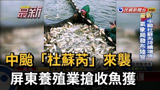 中颱「杜蘇芮」來襲 屏東養殖業搶收魚獲－民視新聞