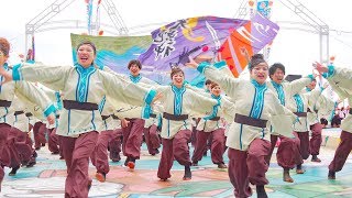 [4K] 大阪芸術大学 よさこい×結び　大阪ベイエリア祭 Worldあぽろん 2019 (中央)