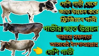 How to improve the breed of cows?! cow rearing | গাভীর জাত উন্নয়ন করবেন কিভাবে?!। গাভী পালন |