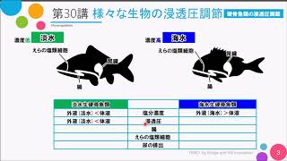 【高校講座 生物基礎】第30講「様々な生物の浸透圧調節」