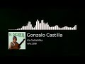 gonzalo castilla el cacaotal visualizer