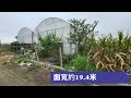 新營太子宮合法網室都計農地｜台南農地｜臺南都市計畫農地｜新營太子宮｜太子國中｜新營｜嘉義土地房屋買賣｜有巢氏房姜采伶｜天天看房｜一分鐘看房