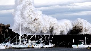 На Японию обрушился тайфун «Зверь», есть жертвы (новости)