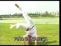 movimentos avançados de capoeira