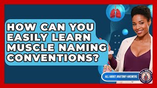 How Can You Easily Learn Muscle Naming Conventions? - All About Anatomy Answers