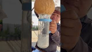 Giant Coconut water vs. Smallest Coconut water #coconutwater