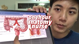 Anatomy คณะพยาบาล (📌ไฟล์สรุปอยู่ใต้คลิปครับ) เรียนยากขนาดนี้เลยหรอ! 😱👨🏻‍⚕️ l Tutor murse😘