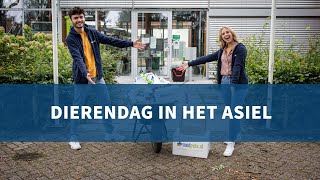 Dierendag in het Asiel