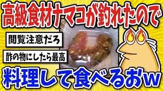 【2ch面白いスレ】超高級食材ナマコが釣れたので調理してくｗ【グルメ料理】