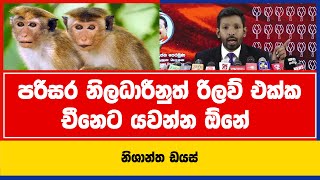 පරිසර නිලධාරීනුත් රිලව් එක්ක චීනෙට යවන්න ඕනේ | නිශාන්ත ඩයස්