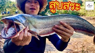 สูบสระธรรมชาติได้ปลาเป็น100โล Fishing lifestyle Ep.25