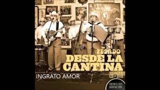 Pesado - Ingrato Amor (letra)