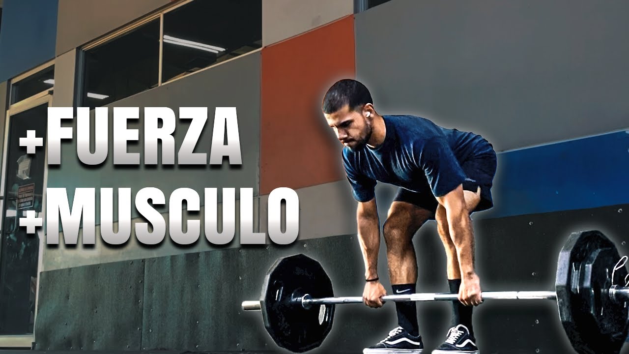 Así Es COMO ENTRENO Para GANAR MUSCULO Y FUERZA - YouTube