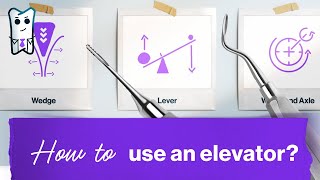Dental Elevator EXPLAINED/ Become a MASTER