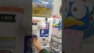 ガチャ2ez 自分ツッコミくま すいんぐますこっと 回す・開封動画