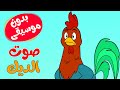 اغنية  الديك نسى صوته بدون موسيقى