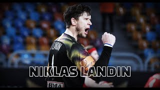 Niklas Landin | TORminator