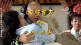 紫薇这个淘人的孩子又找事了，哈哈#新还珠格格#搞笑配音