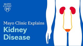 Mayo Clinic Explains Kidney Disease