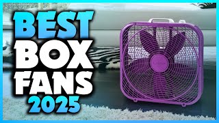 Top 7 Best Box Fans You can Buy Right Now [2025]