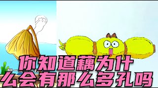 你知道藕为什么会有那么多洞吗？