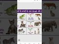 name of animal janvaro ke bhache chote bacho ke name name of child song