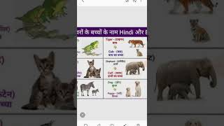 Name of animal ,janvaro ke bhache chote bacho ke Name,  Name of child song