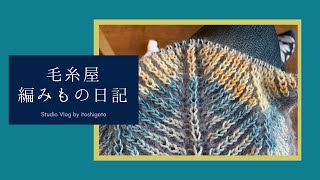 新年、何編む？ - 毛糸屋の編みもの日記 - Ep.8 - 新年の長期プロジェクトを計画する日