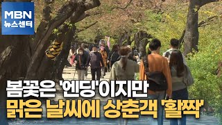 봄꽃은 '엔딩'이지만…맑은 날씨에 상춘객 '활짝' [MBN 뉴스센터]