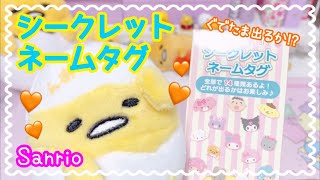 💗💜シークレットネームタグ｜開封｜サンリオ｜SANRIO｜購入品紹介｜