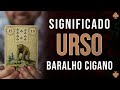 Significado carta Urso - Baralho Cigano -  Carta 15