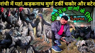 रांची में कड़कनाथ टर्की,चकोर और बटेर | Ranchi's largest Kadaknath cock turkey, chakor \u0026 quail farm