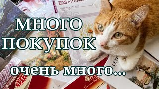 ПОКУПКИ И ЧТО НАВЫШИВАЛИ │ МЫ ВСЁ ЕЩЁ ЗДЕСЬ