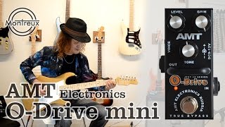 AMT Electronics O-Drive mini