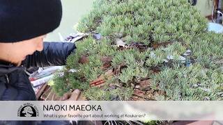 Bonsai Interview - Naoki Maeoka