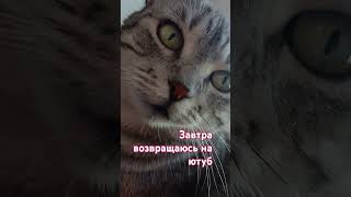 Надеюсь кто будет меня смотреть