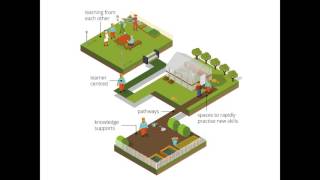 Learn how to design a 70 20 10 learning ecosystem