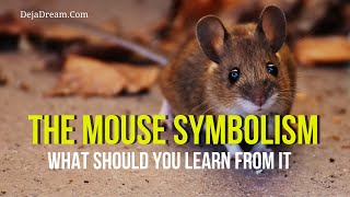 The Mouse Symbolism: What Should You Learn From It