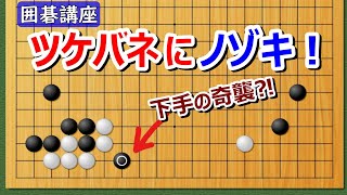 【囲碁講座】ツケバネにノゾキ！【2024年版】白模様に仕掛ける