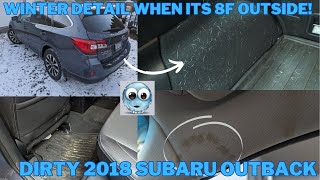 Dirty Pet Hair Subaru Outback Gets a Full Car Detail Inside and Out w/ DIY Detail Rinseless Wash