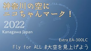 青空ににこちゃんマーク？！「#FlyforALL #大空を見上げよう in 神奈川」2022　室屋義秀