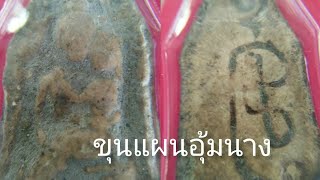 ขุนแผนอุ้มนาง