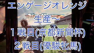 【スターホース２】　ー 240頭目ー　エンゲージオレンジ　1戦目(京都新聞杯)、2戦目(優駿牝馬)