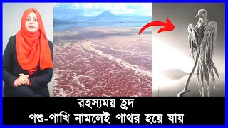 রহস্যময় হ্রদ; পশু-পাখি নামলেই পাথর হয়ে যায় | Lake Natron Tanzania | মজার খবর | Mojar Khobor