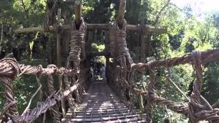 Kazurabashi vine bridge