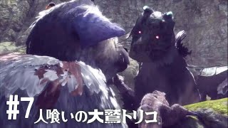 #7  少年と巨獣の物語「人喰いの大鷲トリコ」【実況】