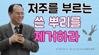 저주를 부르는 쓴 뿌리를 제거하라 [신 29:18-21, 히 12:14-17] | 열리는교회 주일예배 | 김경규 목사 | 2024-12-01