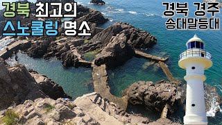 국내 최고 스노쿨링 명소로 소문난 송대말등대! / 물회 먹방 / 송대말등대 / 경북 경주