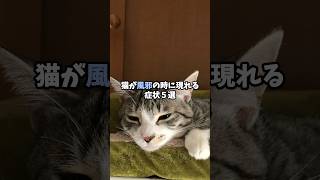 猫が風邪の時に現れる症状5選　#猫 #ねこ #保護猫 #猫のいる暮らし #猫のいる生活 #雑学 #猫好きさんと繋がりたい #ねこ動画 #ねこ好き #猫風邪  VOICEVOX:青山龍星